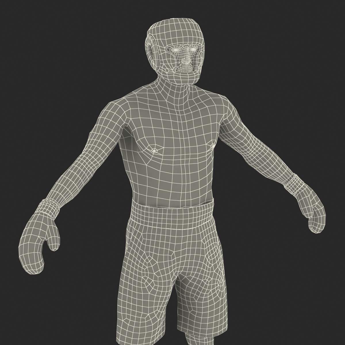 Adult Boxer Man Rigged 3D