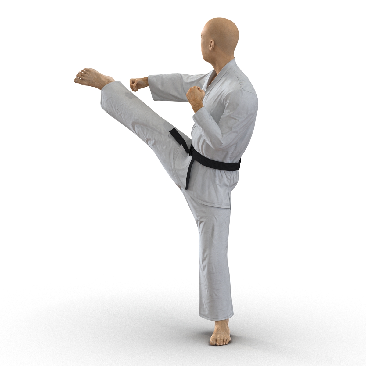 3D model Japanese Karate Fighter Pose 2