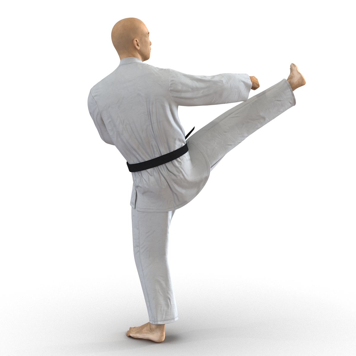 3D model Japanese Karate Fighter Pose 2