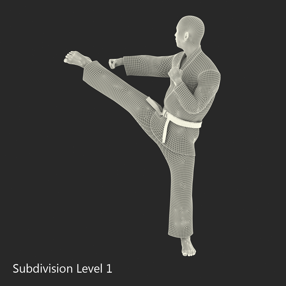 3D model Japanese Karate Fighter Pose 2