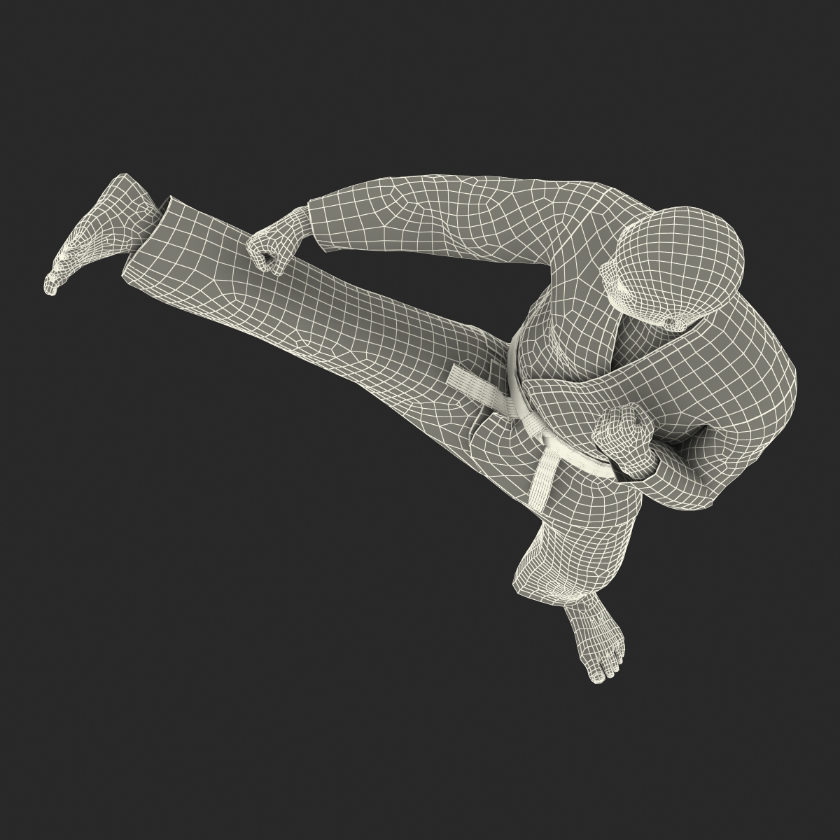 3D model Japanese Karate Fighter Pose 2