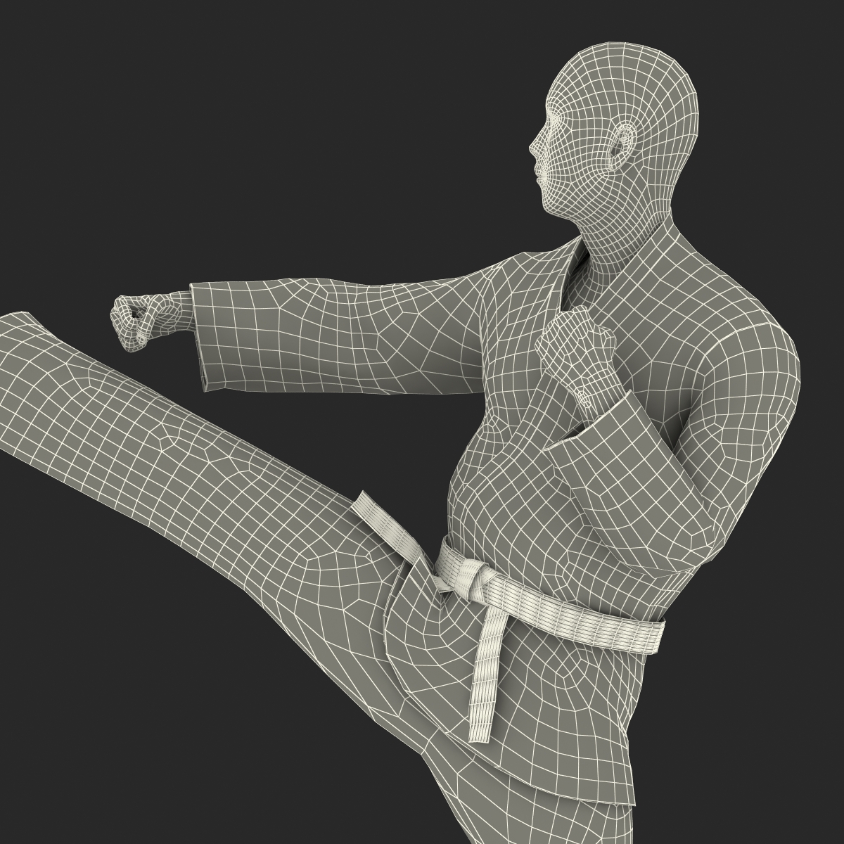 3D model Japanese Karate Fighter Pose 2