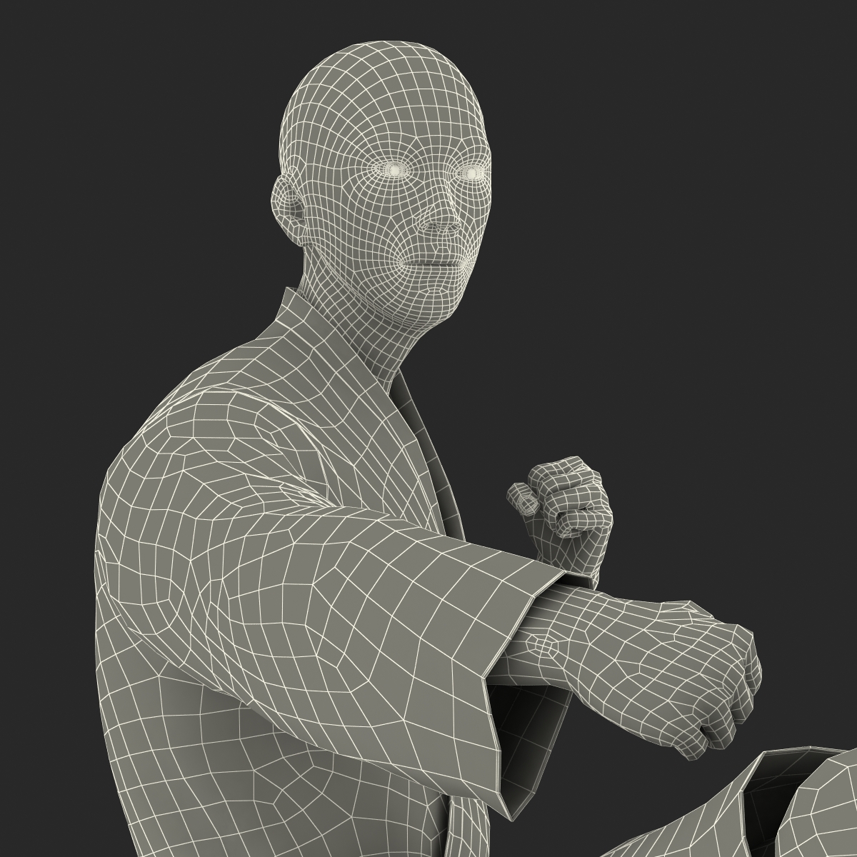 3D model Japanese Karate Fighter Pose 2