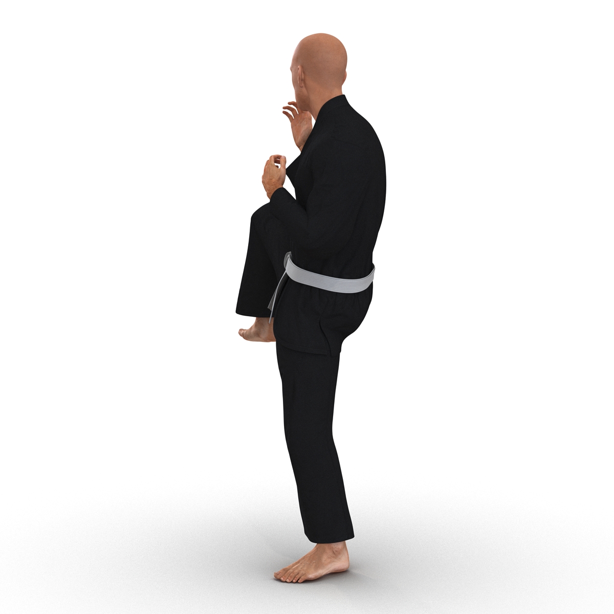 Karate Fighter Black Suit Rigged 3D