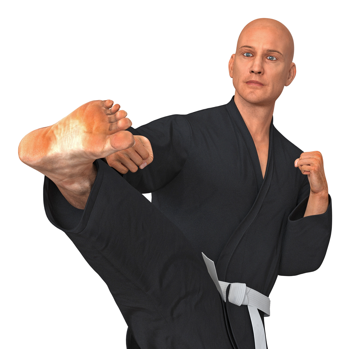 Karate Fighter Black Suit Rigged 3D