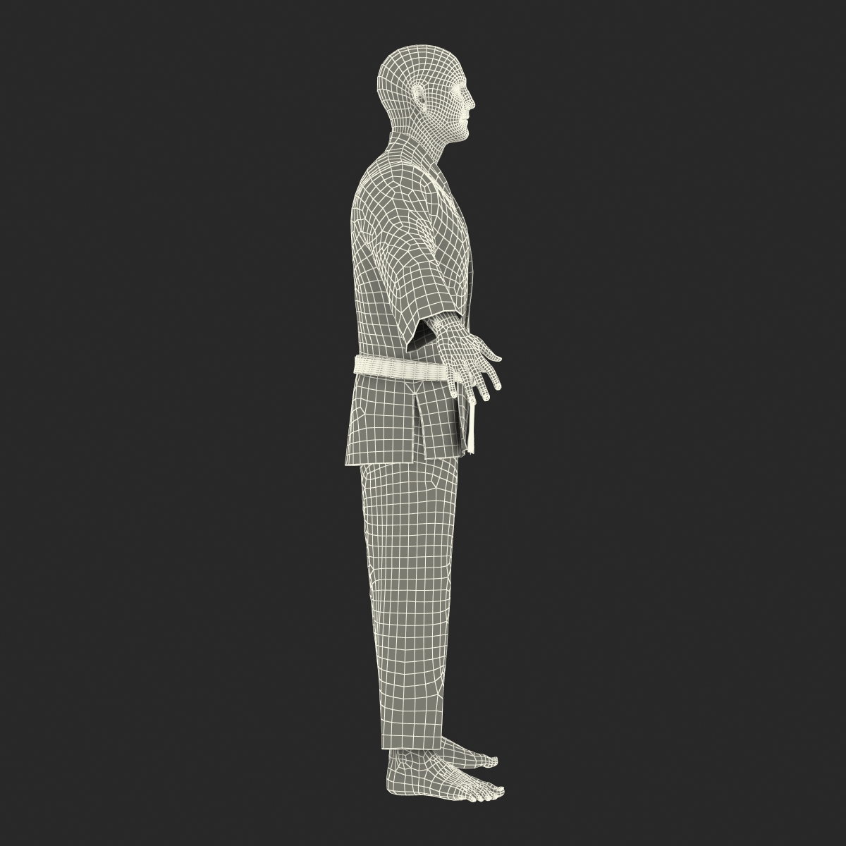 Karate Fighter Black Suit Rigged 3D