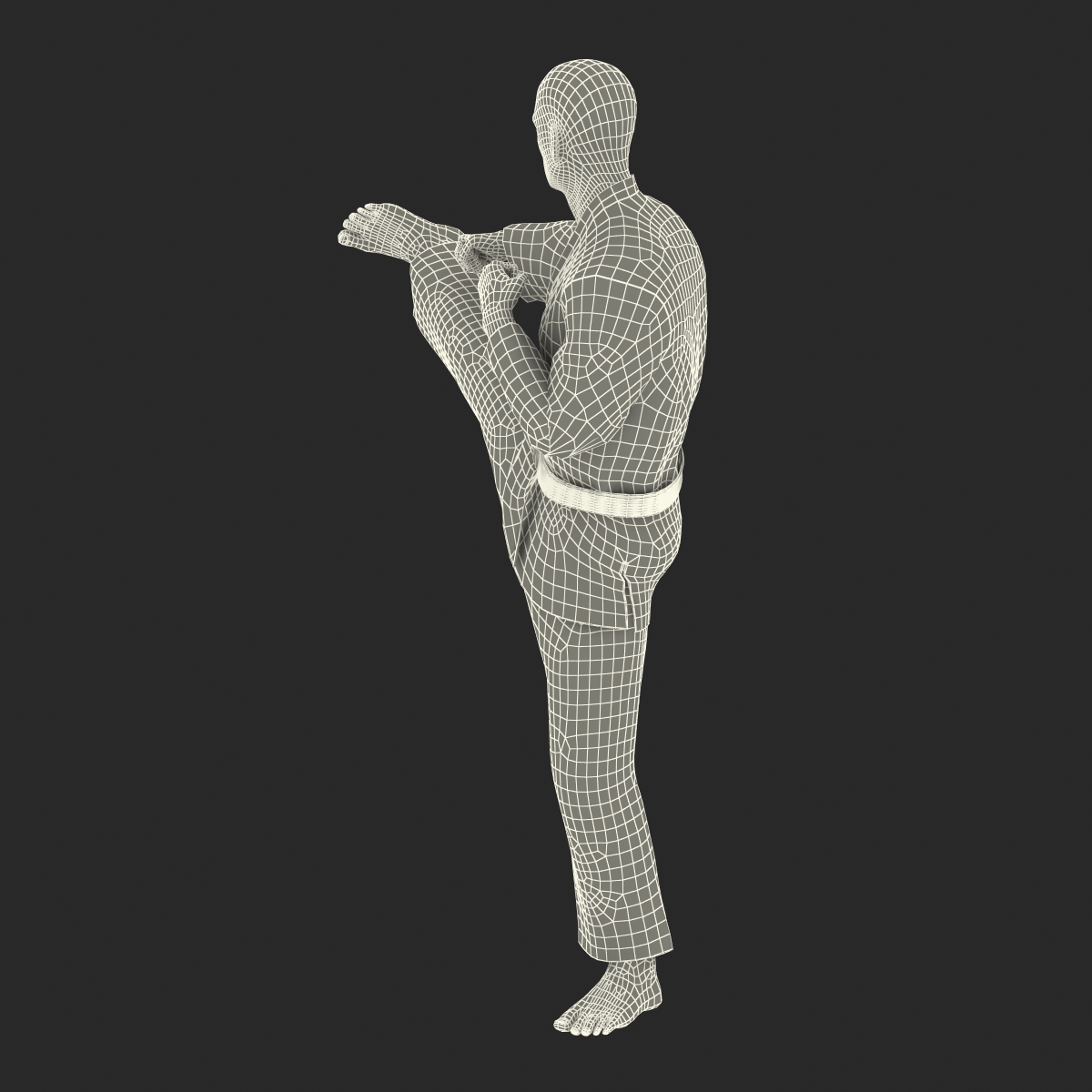 Karate Fighter Black Suit Rigged 3D