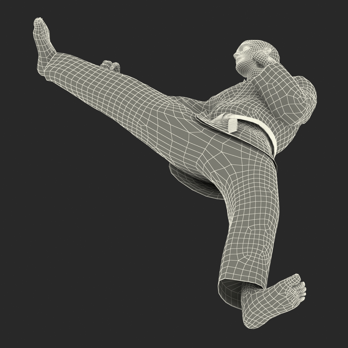 Karate Fighter Black Suit Rigged 3D