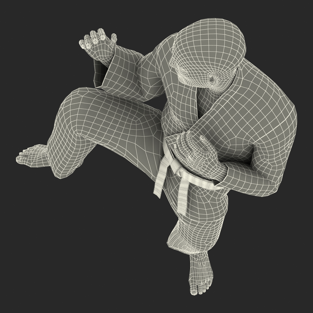 Karate Fighter Black Suit Rigged 3D