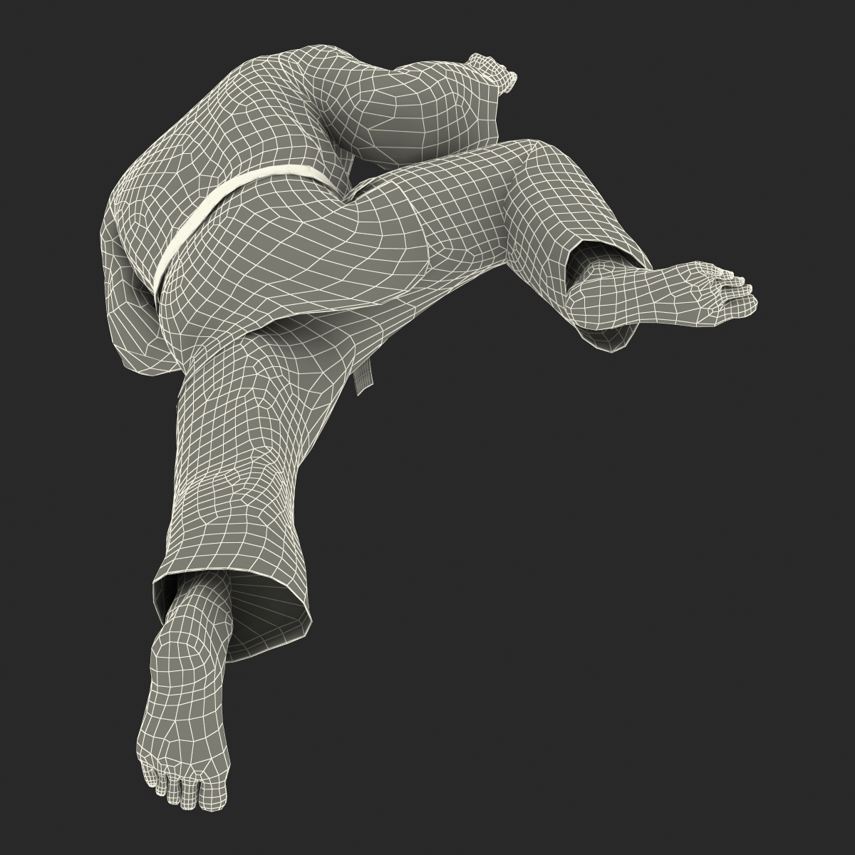 Karate Fighter Black Suit Rigged 3D