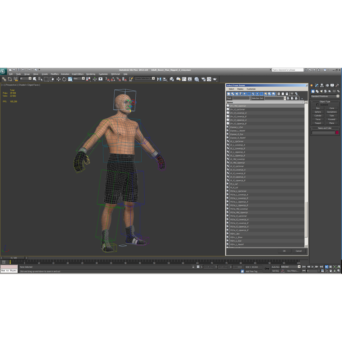 Adult Boxer Man Rigged 2 3D model