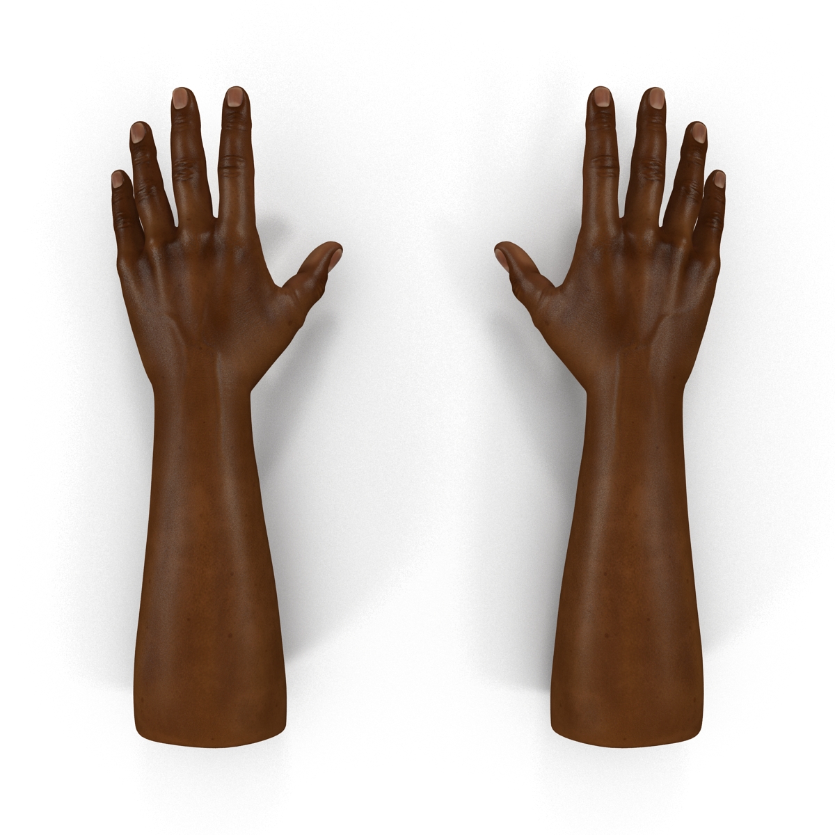 African Man Hands Rigged 3D model