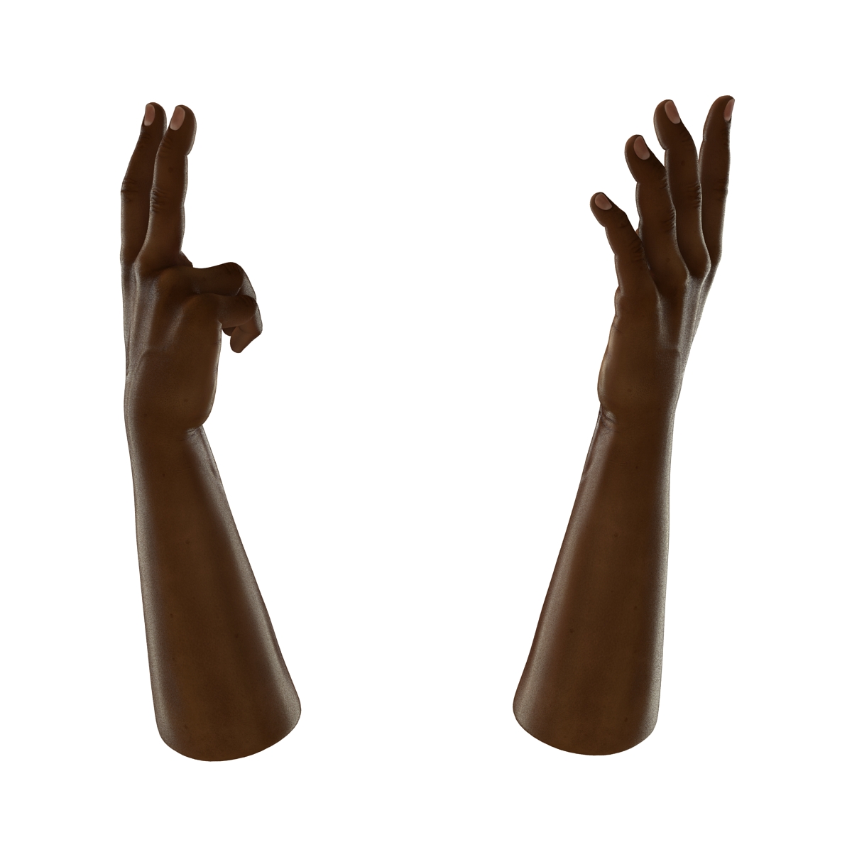 African Man Hands Rigged 3D model