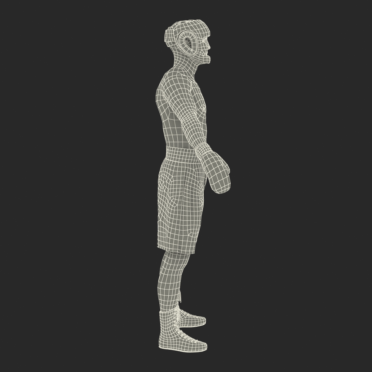 3D Boxer Man Rigged