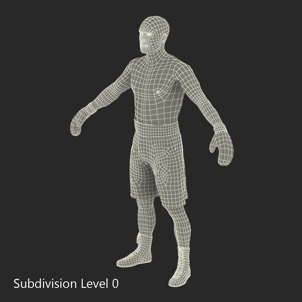 3D Boxer Man Rigged 2 model