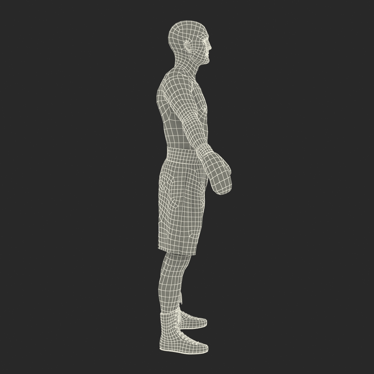 3D Boxer Man 2