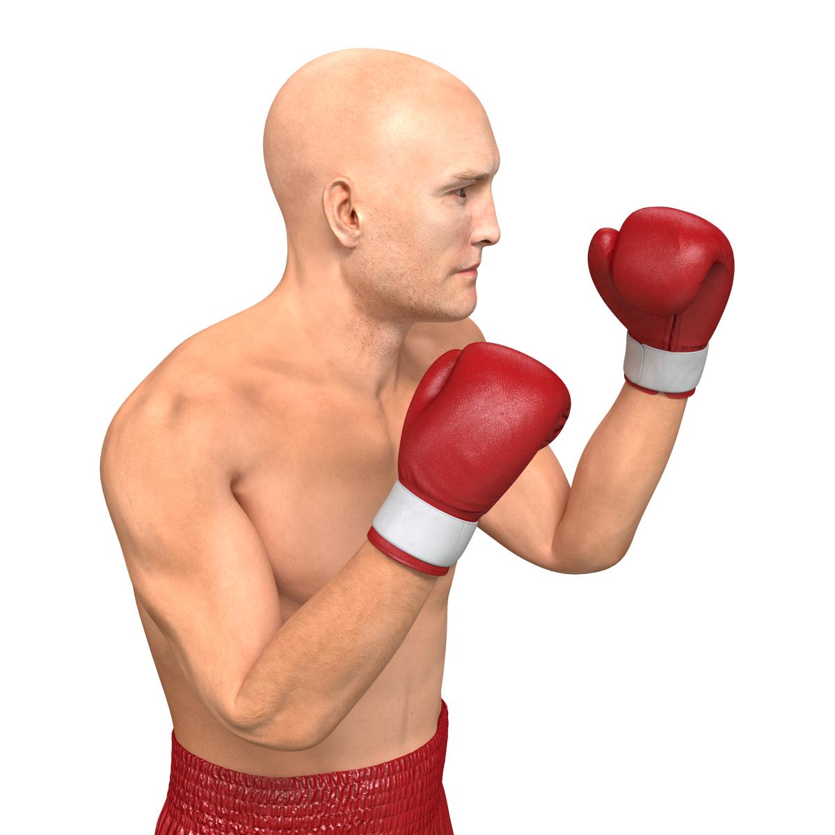 3D Boxer Man 2 Pose 2 model