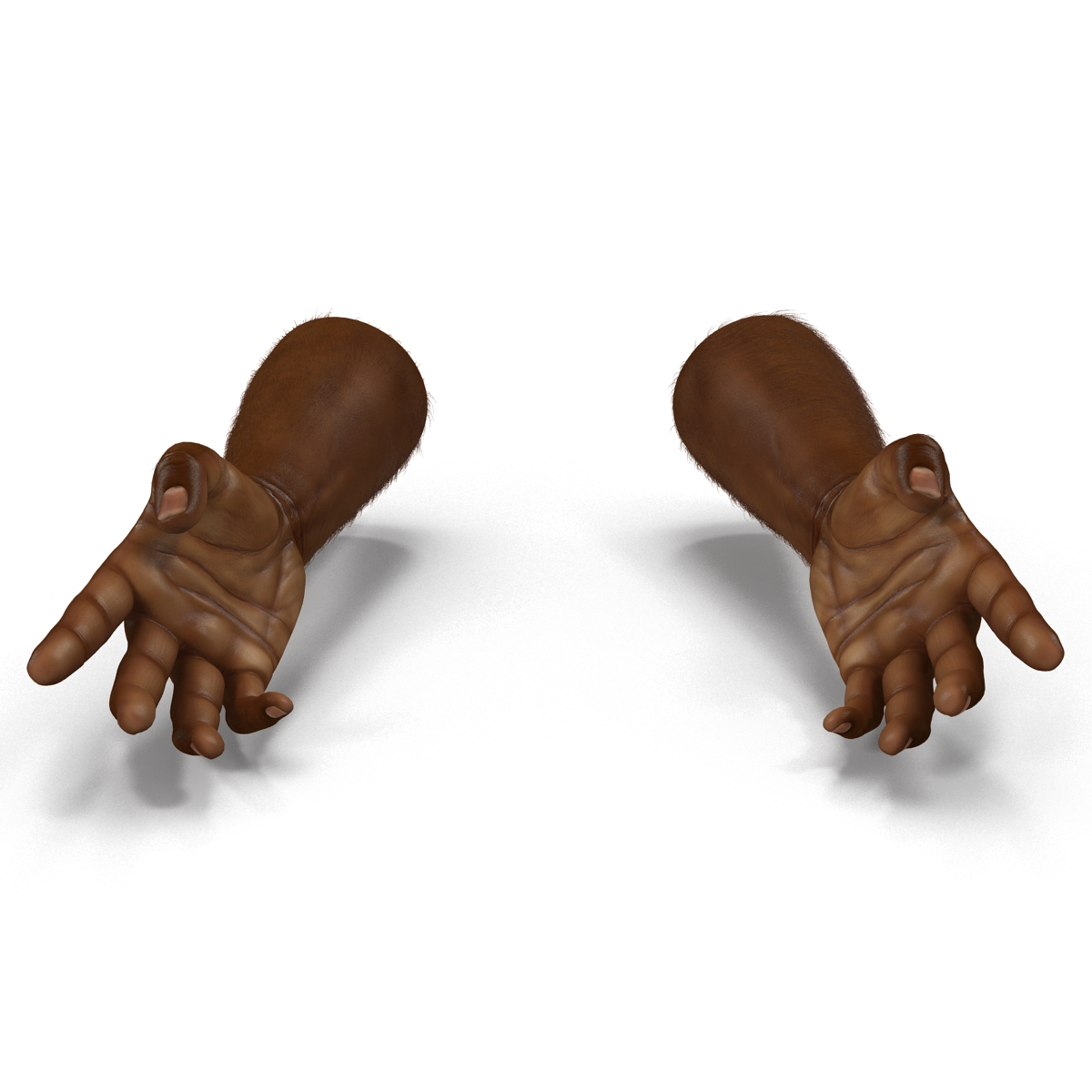 3D African Man Hands with Fur Rigged model