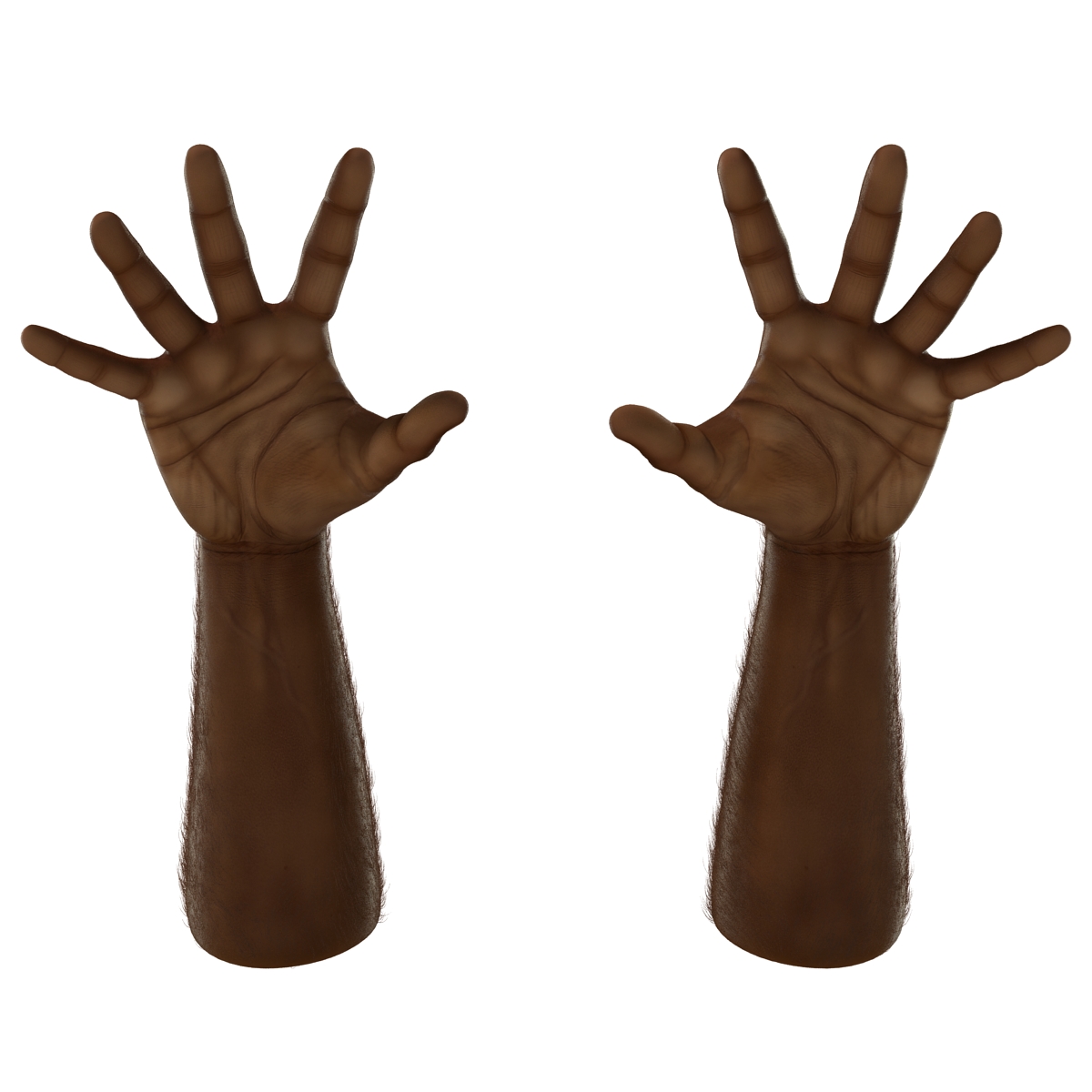 3D African Man Hands with Fur Rigged model