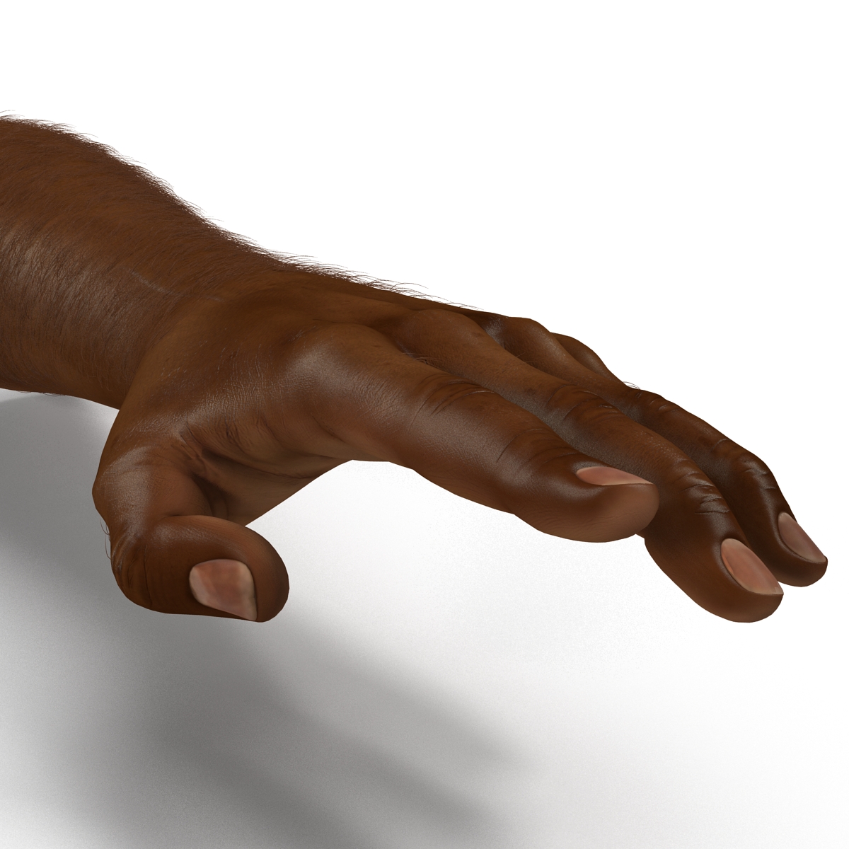 3D African Man Hands with Fur Rigged model