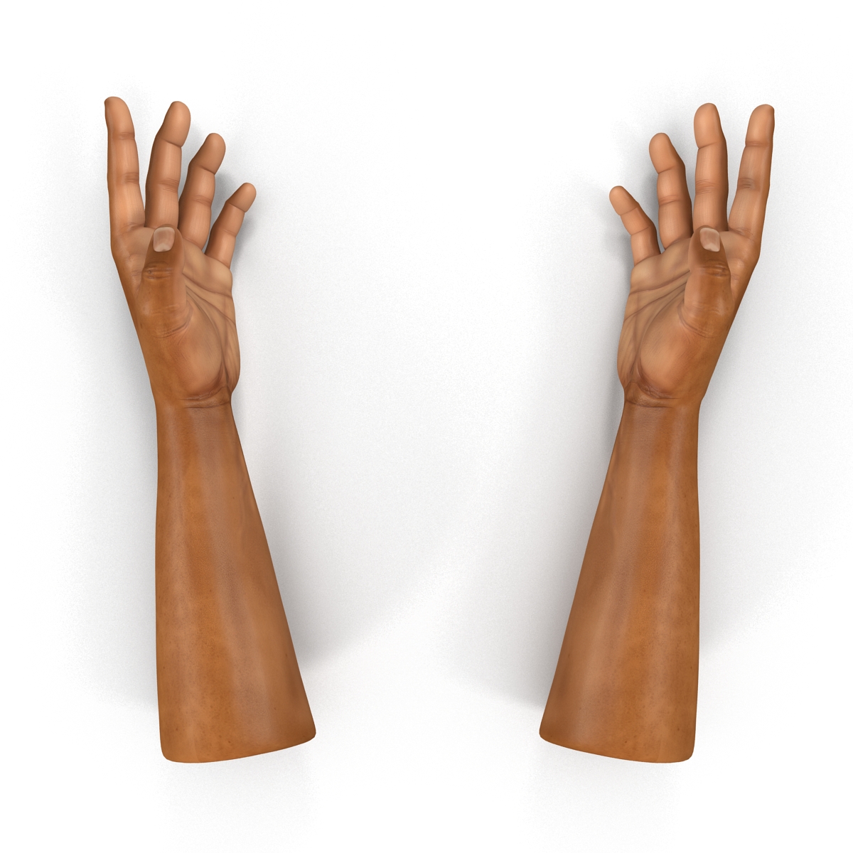 3D African Man Hands 2 Rigged