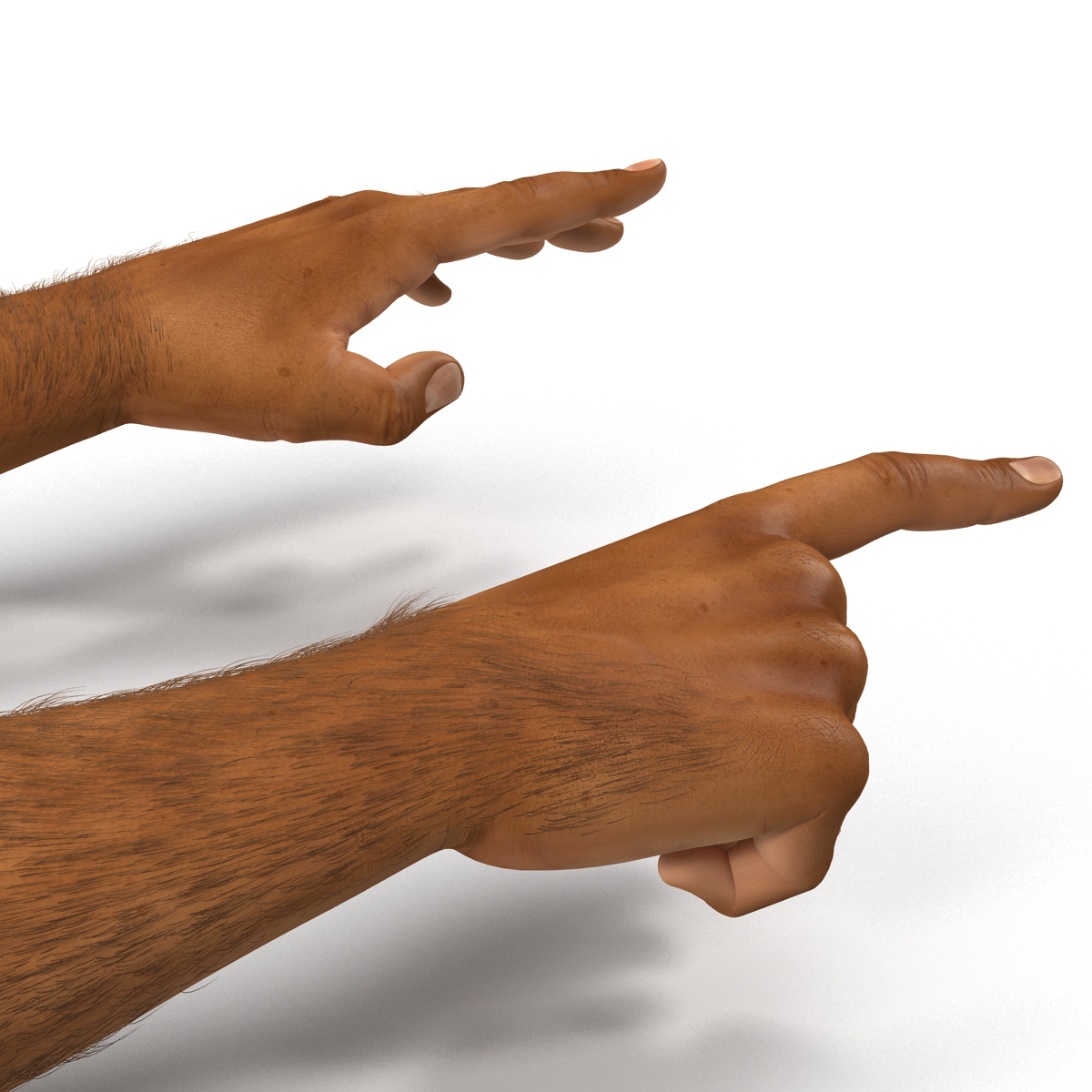 3D model African Man Hands 2 with Fur Rigged