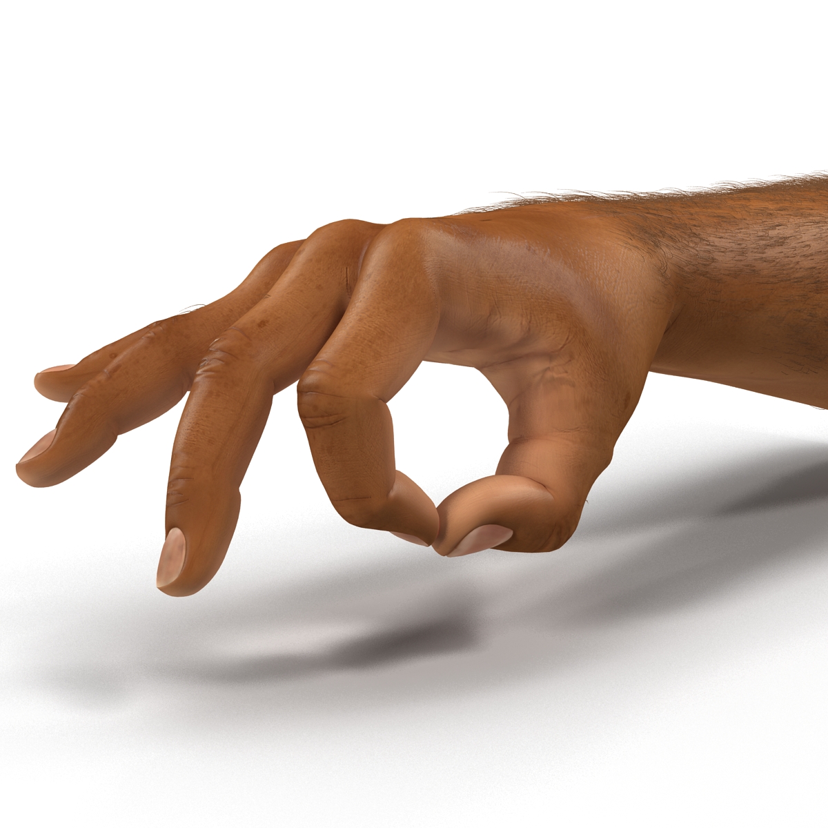 3D model African Man Hands 2 with Fur Rigged