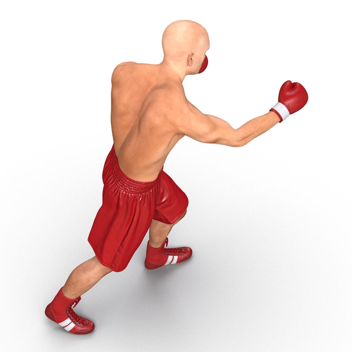 3D Boxer Man 2 Pose 3 model