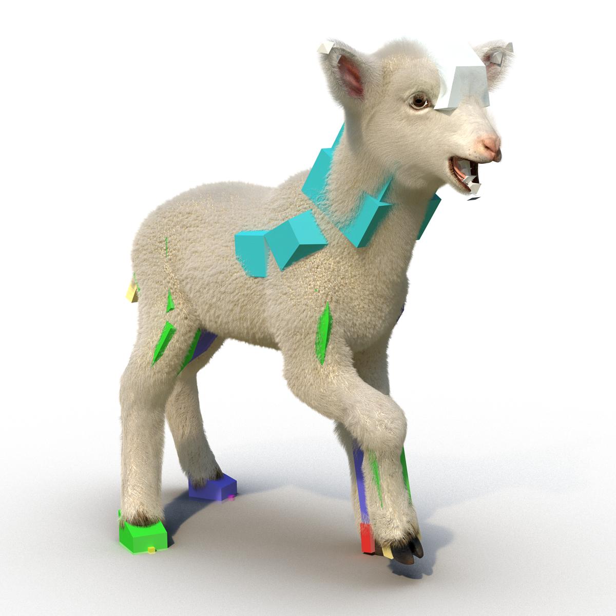 3D model Lamb Rigged with Fur