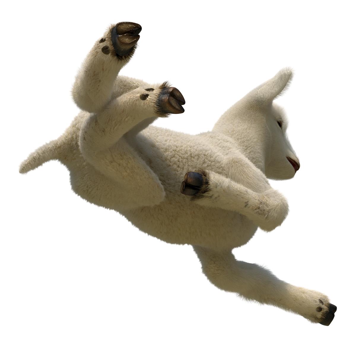 3D model Lamb Pose 4 with Fur