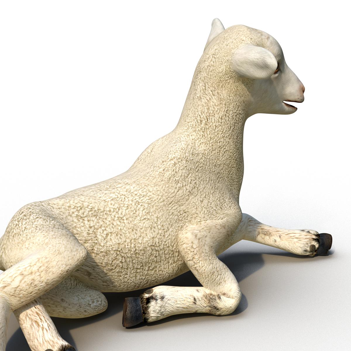 3D Lamb Pose 4