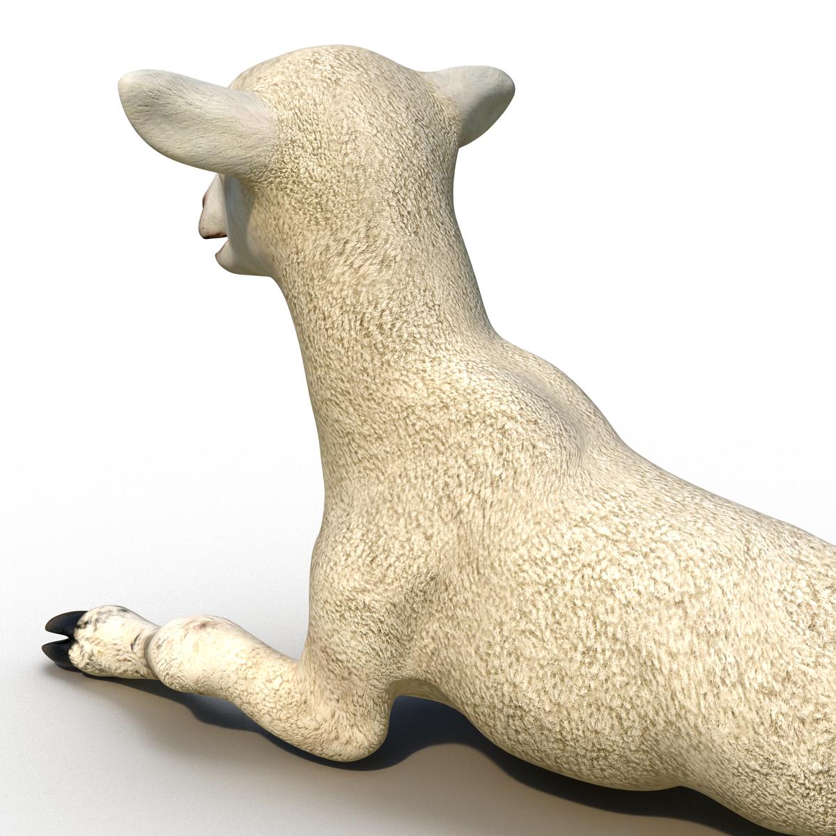 3D Lamb Pose 4