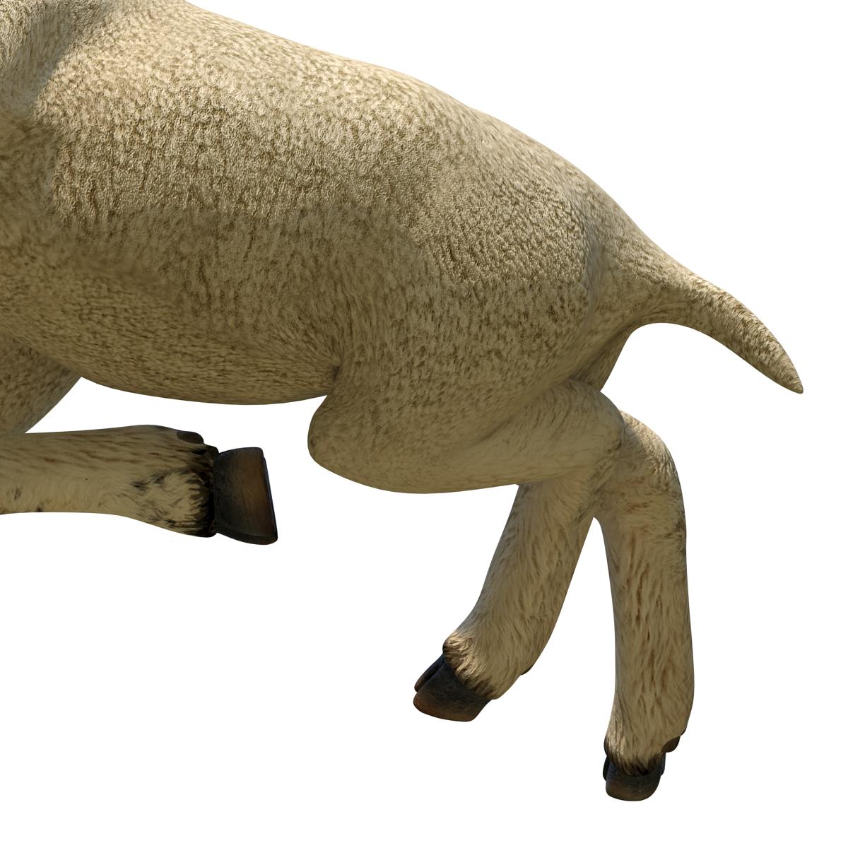 3D Lamb Pose 4