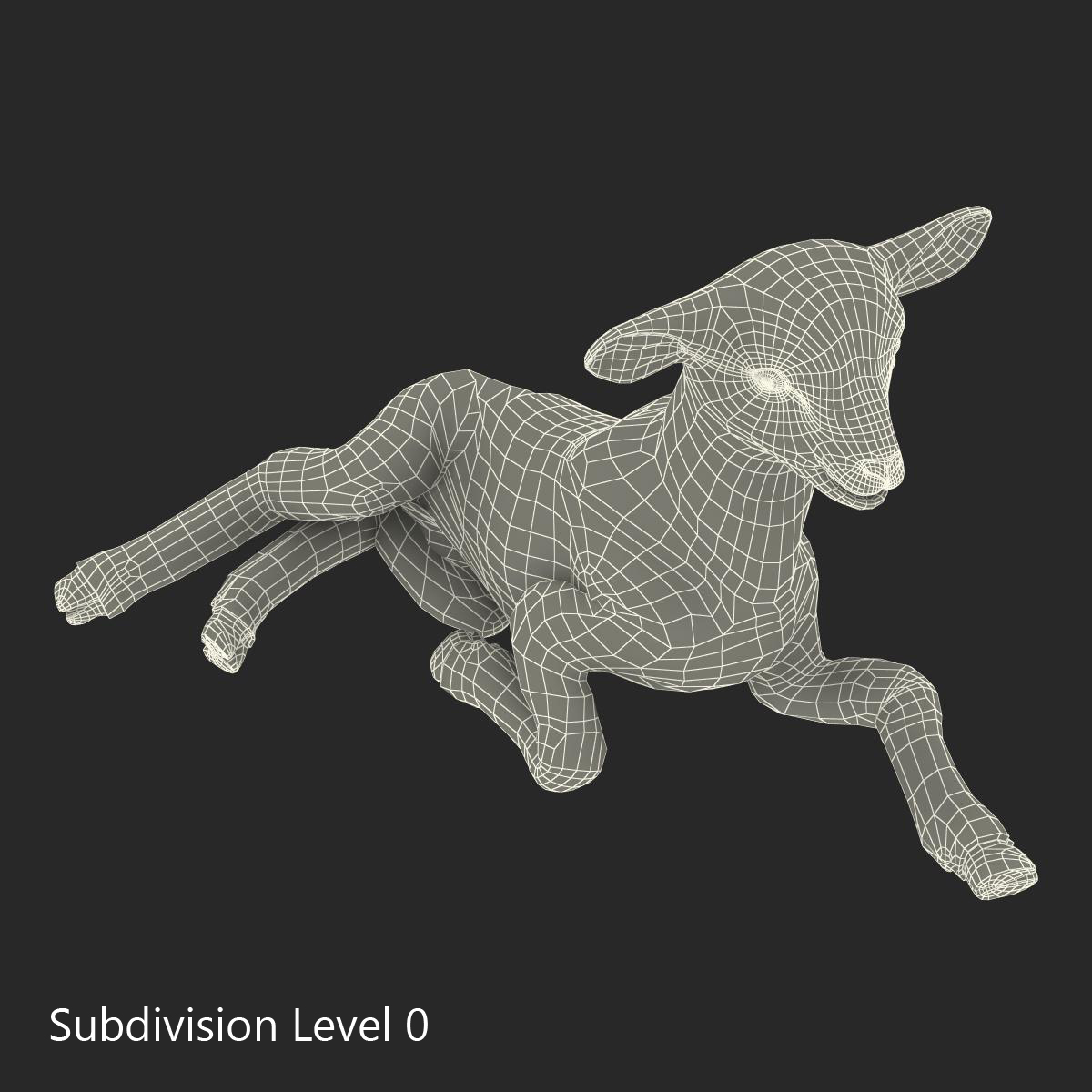 3D Lamb Pose 4