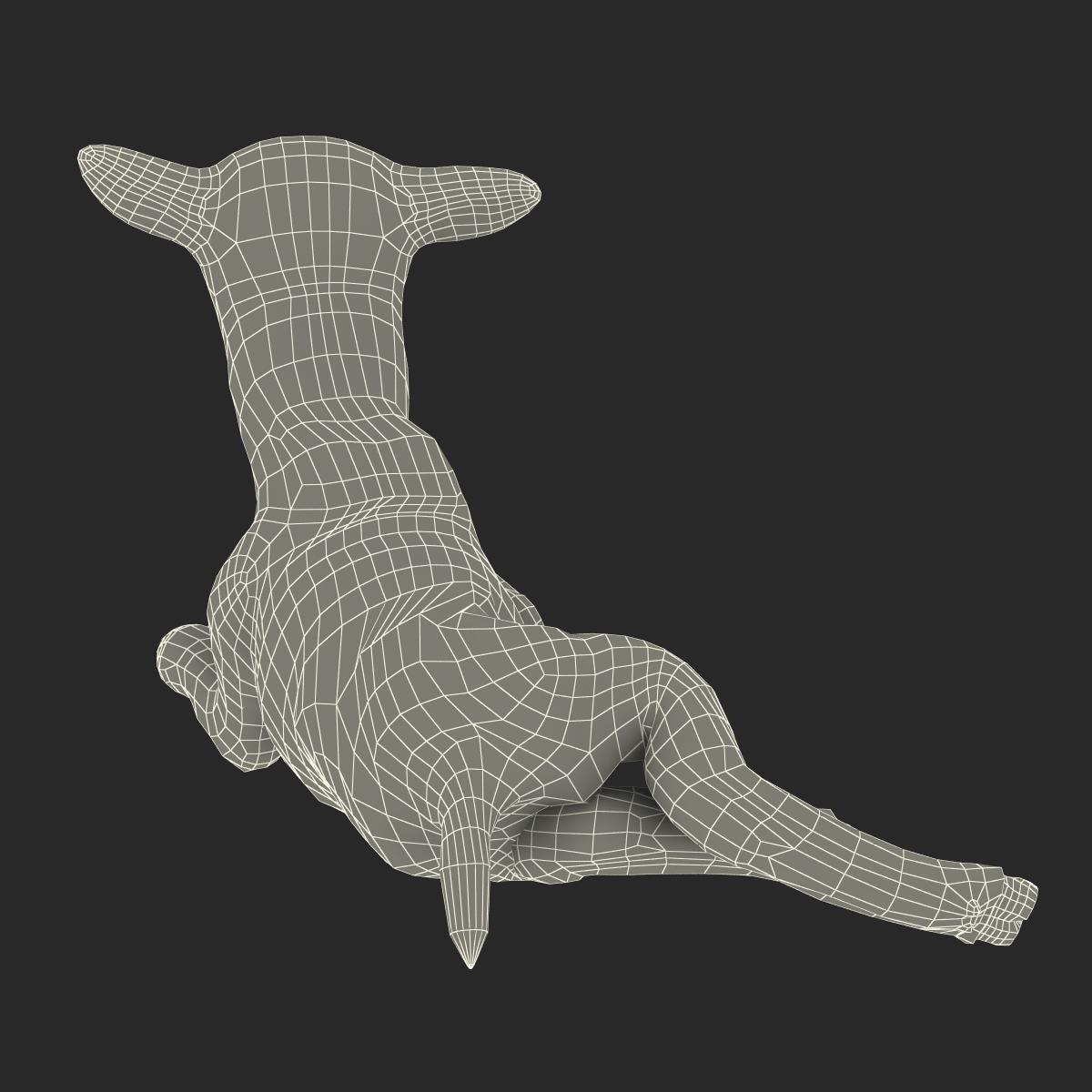 3D Lamb Pose 4