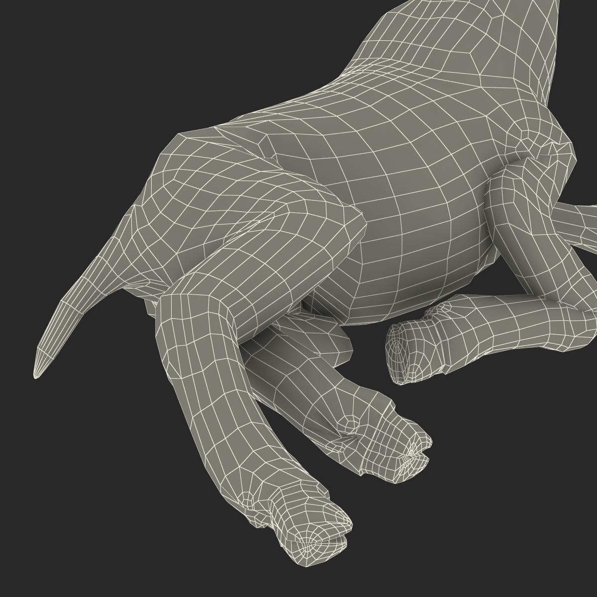 3D Lamb Pose 4