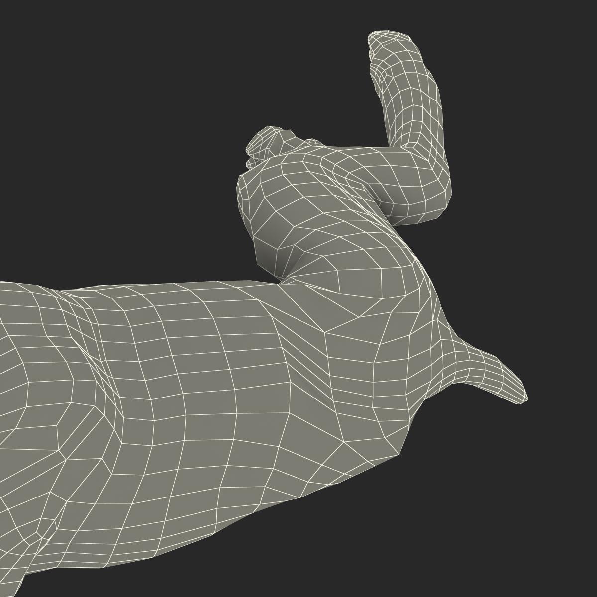 3D Lamb Pose 4