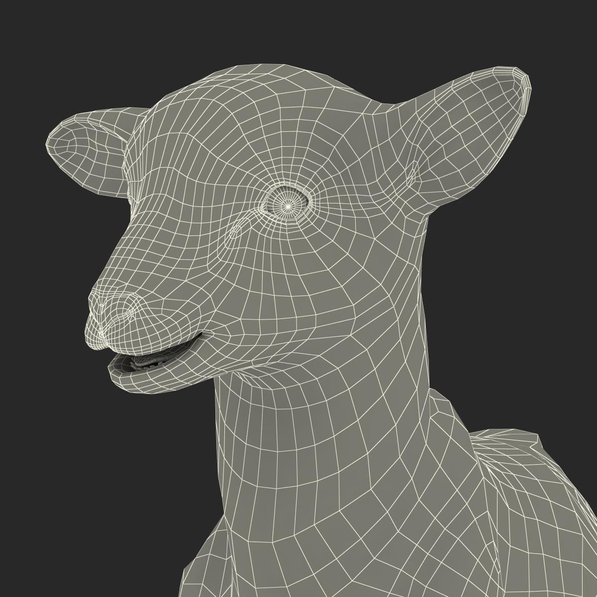 3D Lamb Pose 4