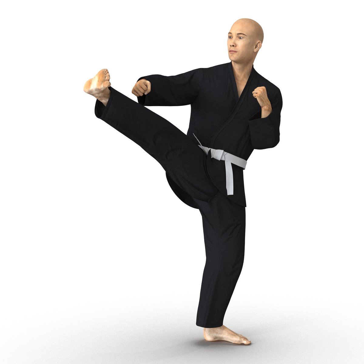 3D Japanese Karate Fighter Black Suit Pose 2