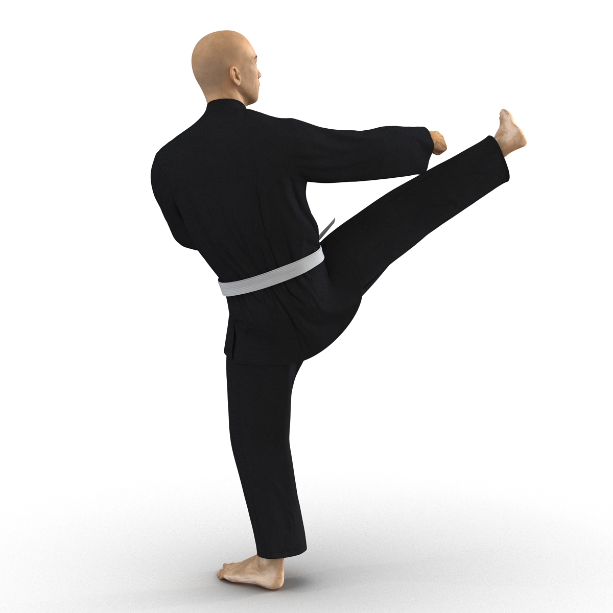 3D Japanese Karate Fighter Black Suit Pose 2