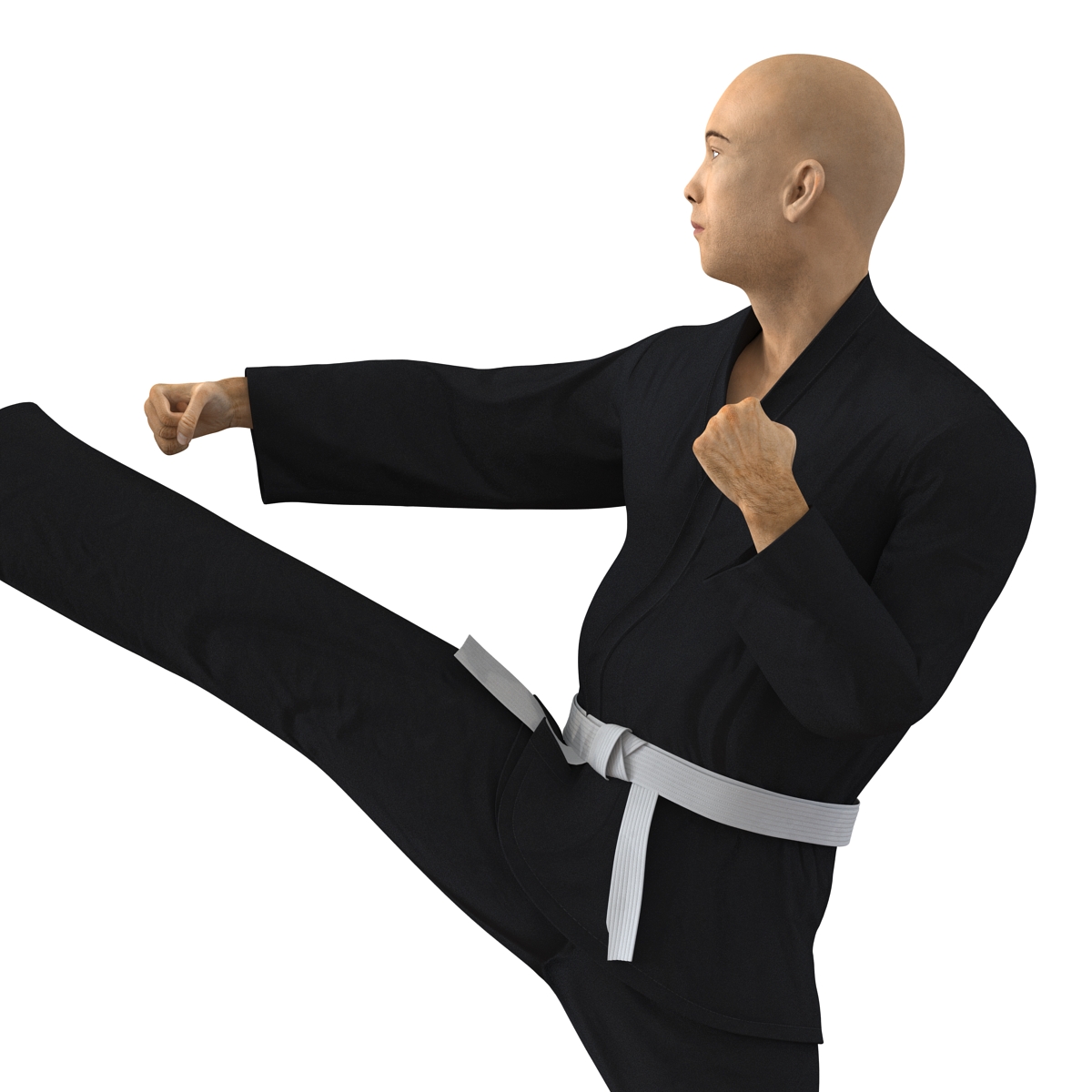 3D Japanese Karate Fighter Black Suit Pose 2