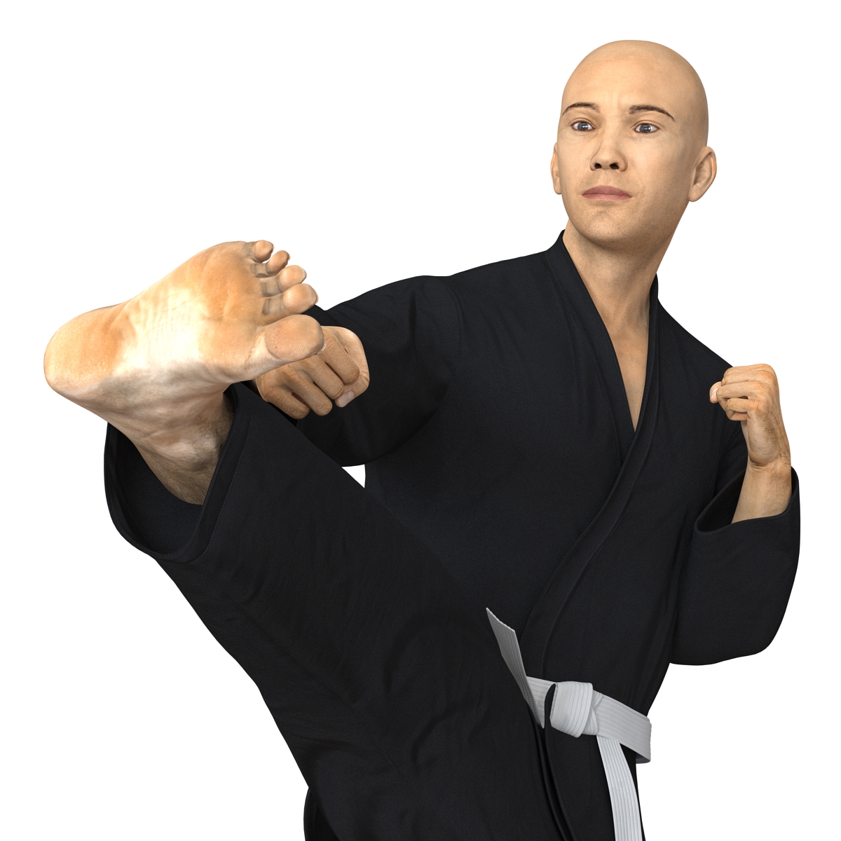 3D Japanese Karate Fighter Black Suit Pose 2