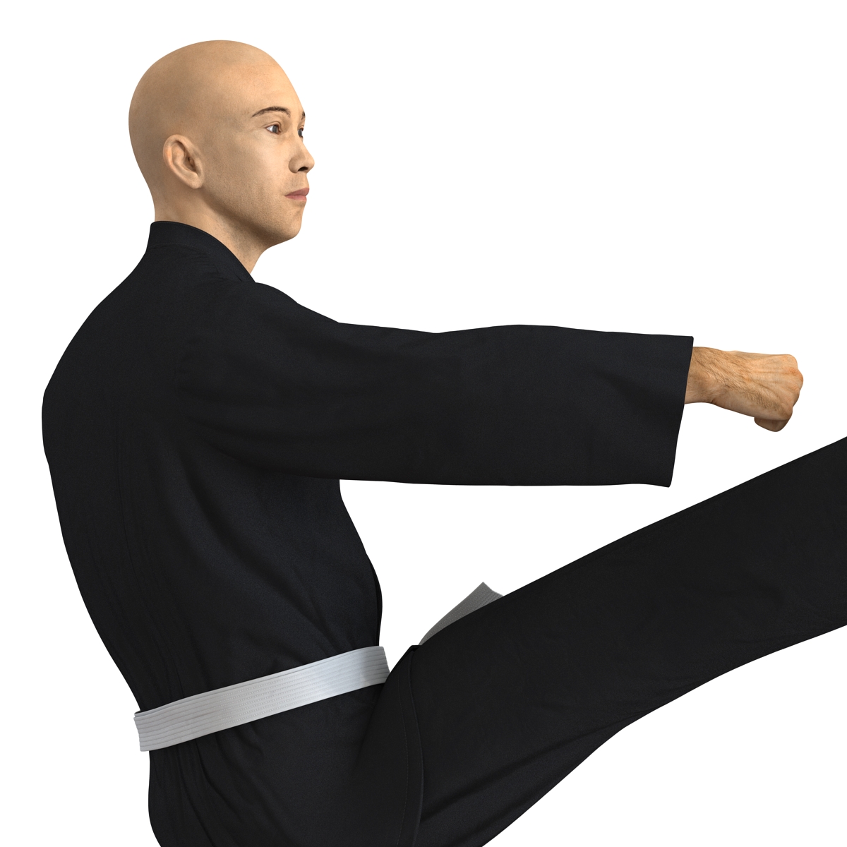 3D Japanese Karate Fighter Black Suit Pose 2