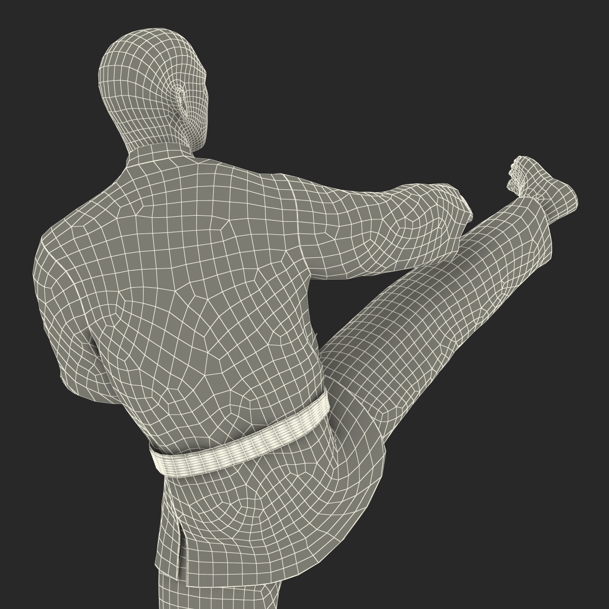 3D Japanese Karate Fighter Black Suit Pose 2