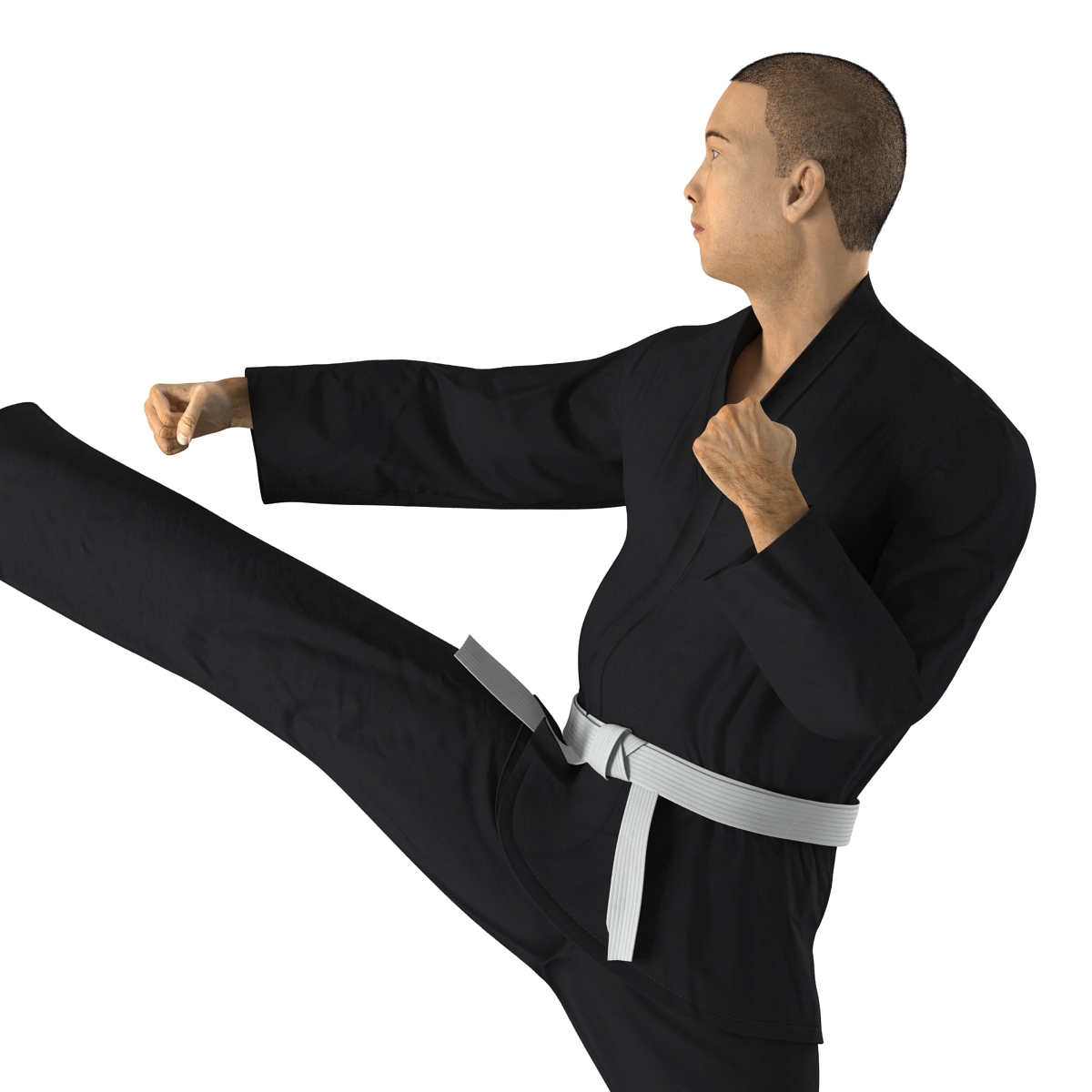 3D model Japanese Karate Fighter Black Suit Pose 2 with Fur