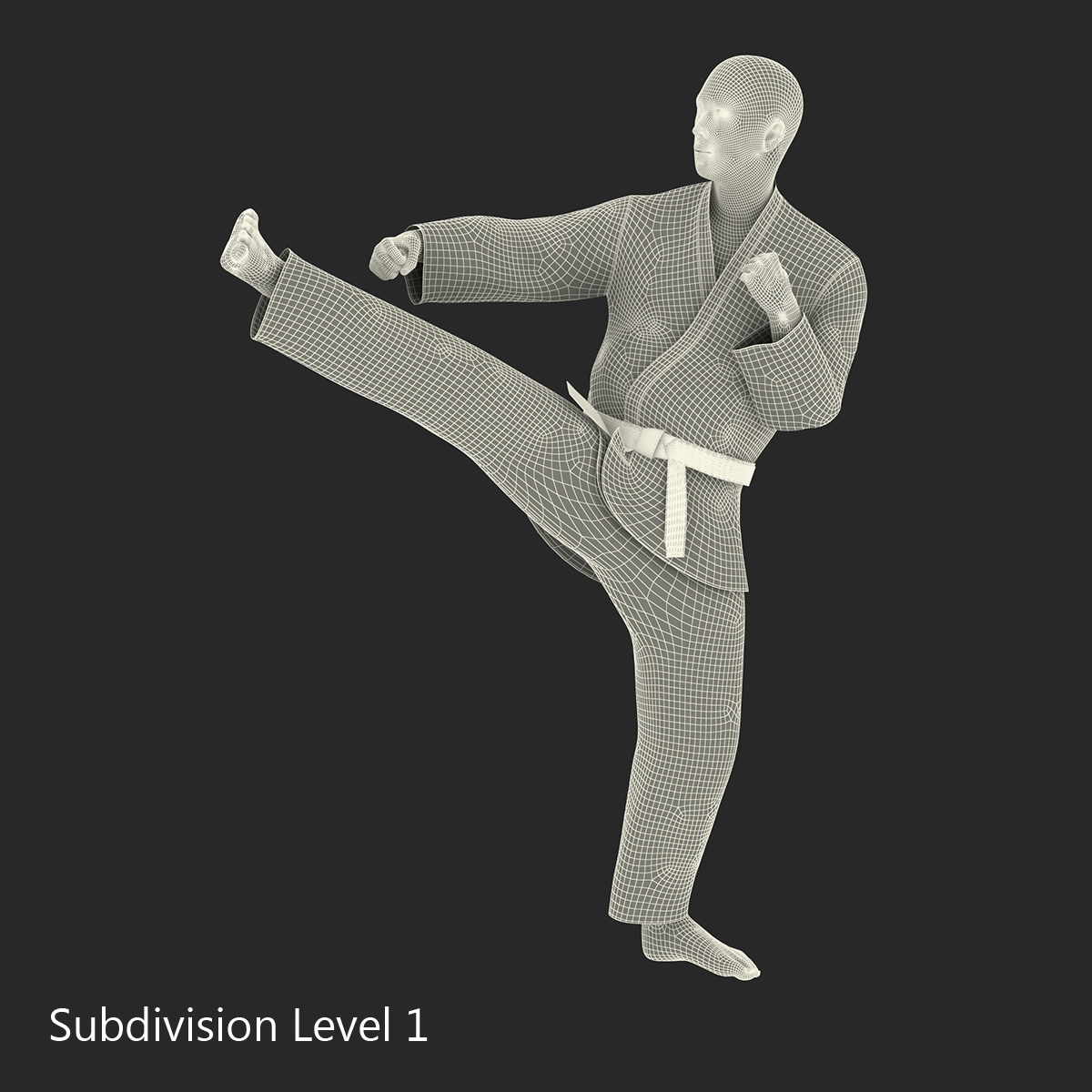 3D model Japanese Karate Fighter Black Suit Pose 2 with Fur