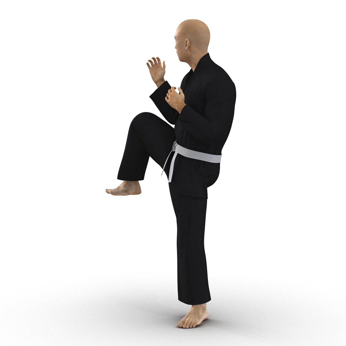 3D Japanese Karate Fighter Black Suit Pose 3