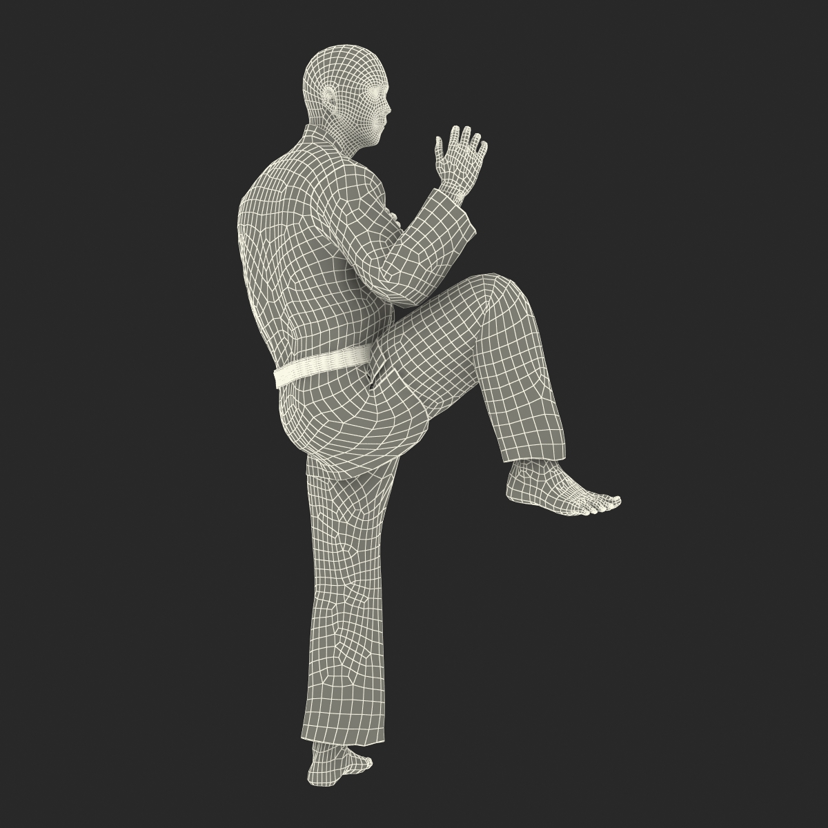 3D Japanese Karate Fighter Black Suit Pose 3