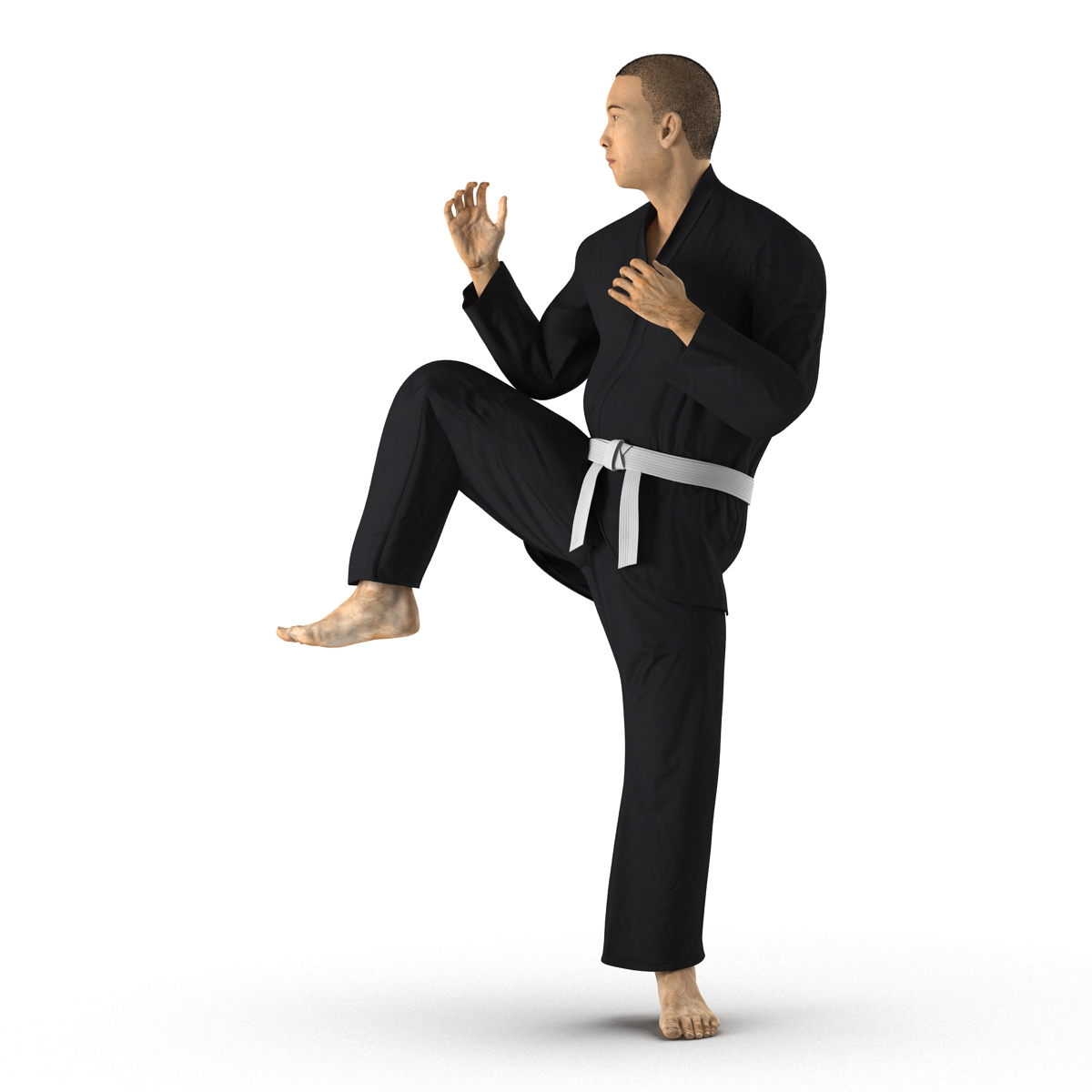 3D model Japanese Karate Fighter Black Suit Pose 3 with Fur