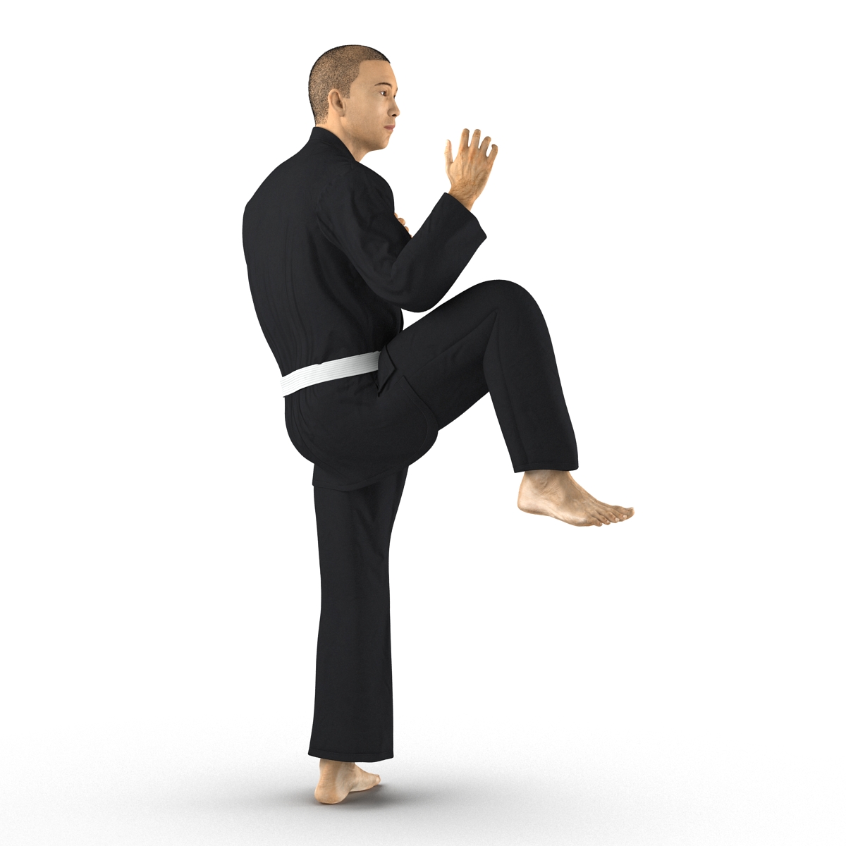 3D model Japanese Karate Fighter Black Suit Pose 3 with Fur